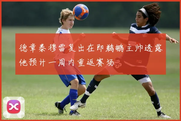 德章泰穆雷复出在即鹈鹕主帅透露他预计一周内重返赛场