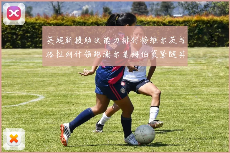英超新援助攻能力排行榜维尔茨与格拉利什领跑谢尔基姆伯莫紧随其后