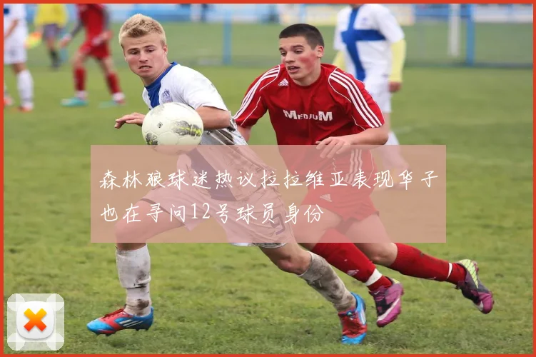 森林狼球迷热议拉拉维亚表现华子也在寻问12号球员身份