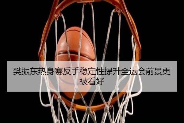 樊振东热身赛反手稳定性提升全运会前景更被看好 | leyu